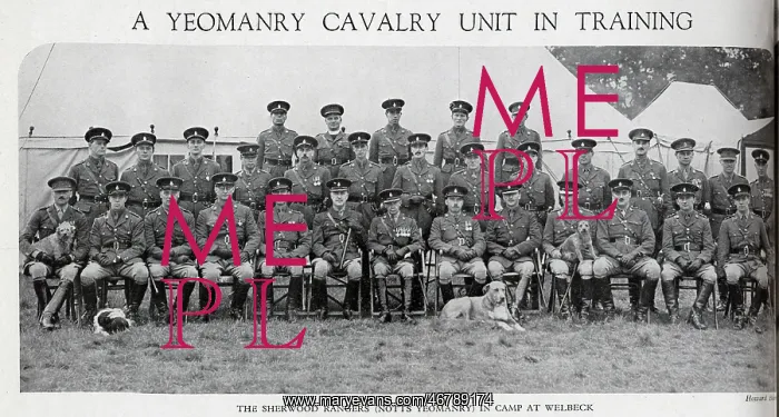 : Sherwood Rangers Yeomanry : Sherwood Rangers Yeomanry