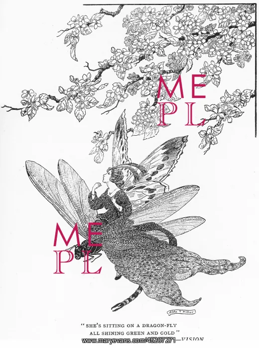 : She's sitting on a dragonfly : She's sitting on a dragonfly
