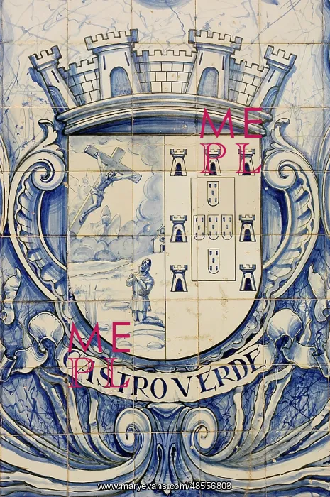 : Shield tile. Castro Verde. Portugal : Shield tile. Castro Verde. Portugal