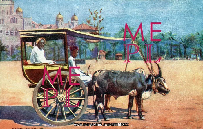 : A Shigean, Mumbai, India : A Shigean, Mumbai, India