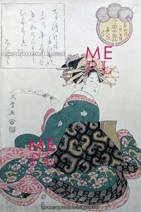 : Shikimaro graphics : Shikimaro graphics