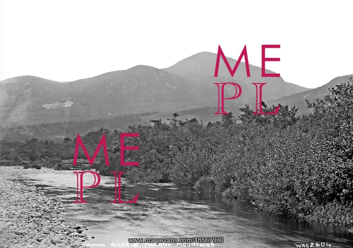 : Shimna River and Mourne Mountains : Shimna River and Mourne Mountains