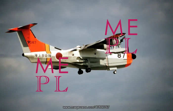 : Shin Meiwa US-1A 9087 : Shin Meiwa US-1A 9087