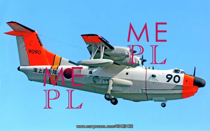 : Shin-Meiwa US-1A 9090 : Shin-Meiwa US-1A 9090