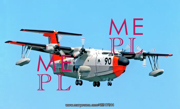 : Shin-Meiwa US-1A 9090 : Shin-Meiwa US-1A 9090