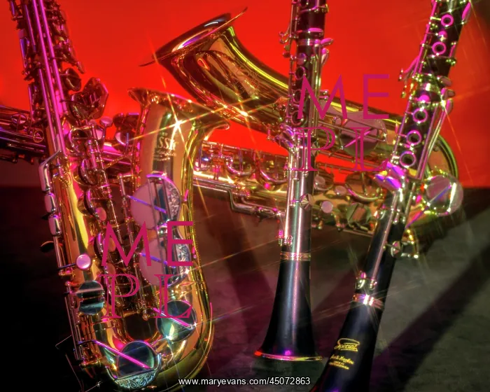 : Four Shiny Sparkling Woodwind Musical Instruments Two : Four Shiny Sparkling Woodwind Musical Instruments Two