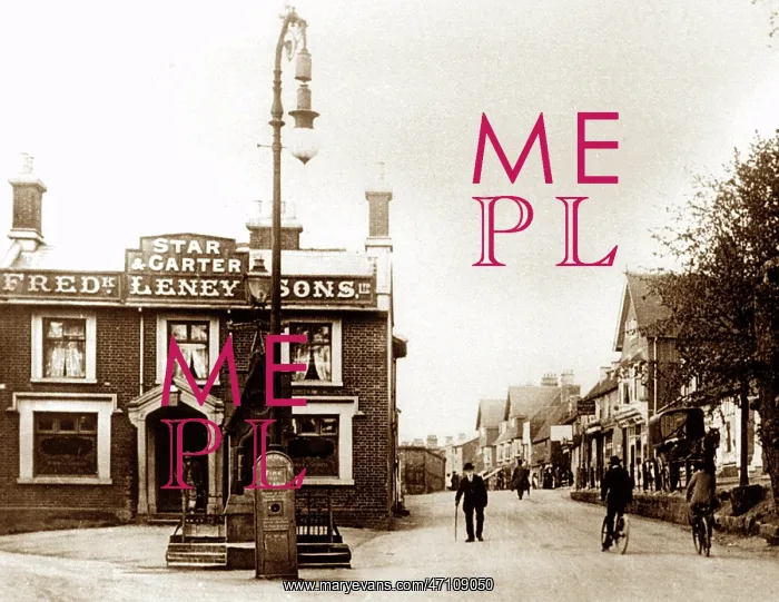  : Shipbourne Road, Tonbridge early 1900's