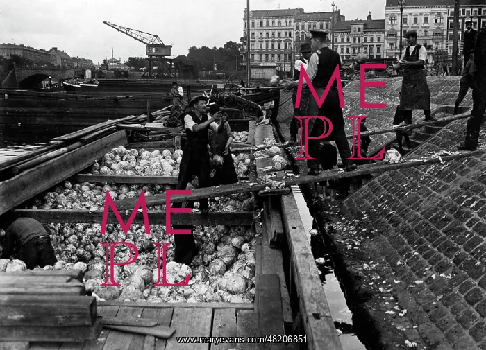  : A shipload of cabbage in Berlin, 1914