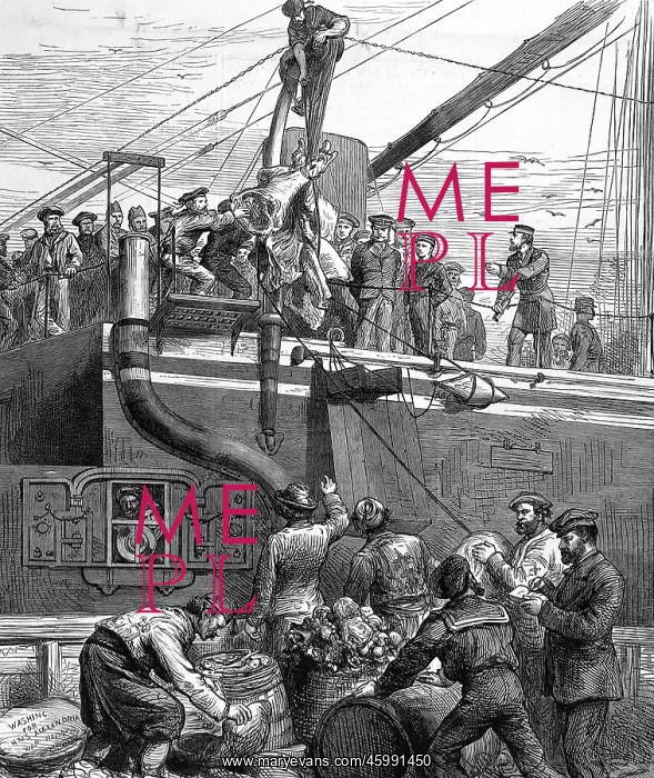 : Shipping Beef on Board HMS Alexandra, 1878 : Shipping Beef on Board HMS Alexandra, 1878