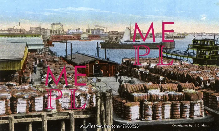 : Shipping cotton, Norfolk Harbour, Norfolk, Virginia, USA : Shipping cotton, Norfolk Harbour, Norfolk, Virginia, USA