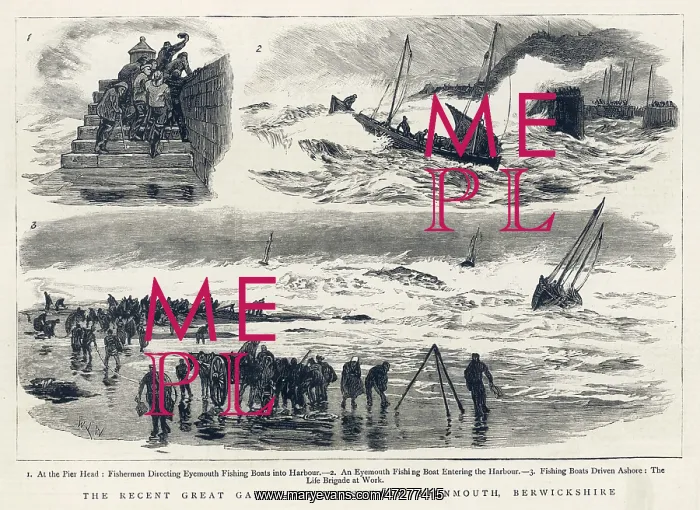 : Shipping Disaster 1881 : Shipping Disaster 1881