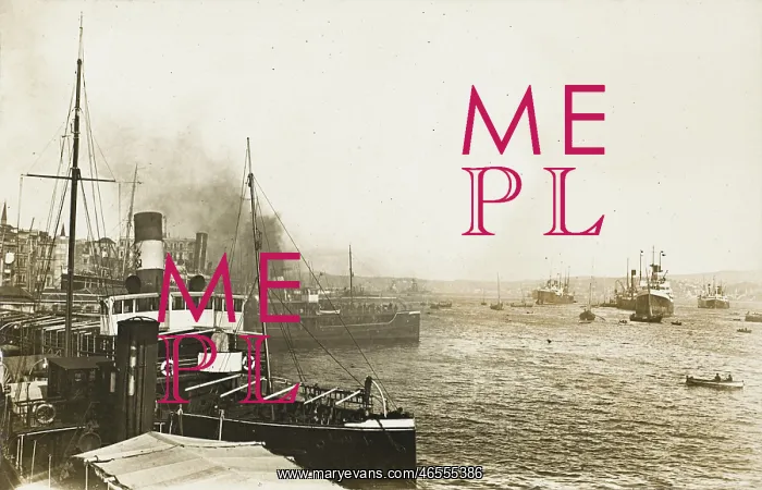 : Shipping in the Harbour at Constantinople : Shipping in the Harbour at Constantinople