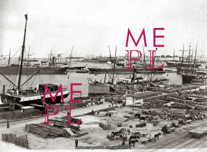  : Shipping at Suez, Egypt, circa 1890