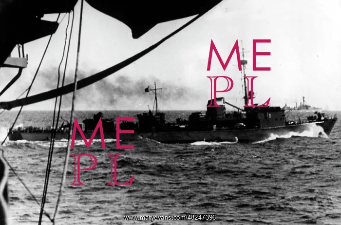 : Ships of the Kriegsmarine in action on the Baltic Front : Ships of the Kriegsmarine in action on the Baltic Front