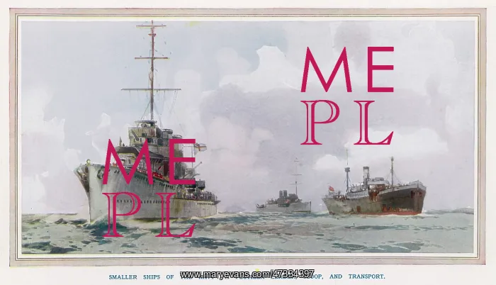 : SHIPS OF THE NAVY 1921 : SHIPS OF THE NAVY 1921