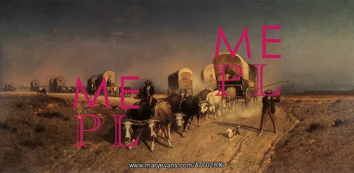 : Ships of the Plains