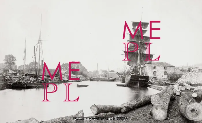  : Ships at the Timber Wharf, Exeter