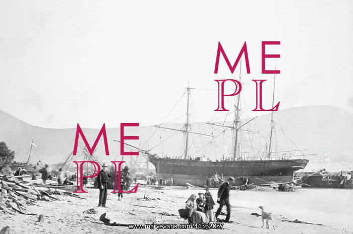 : Shipwreck in Table Bay, 1865 : Shipwreck in Table Bay, 1865