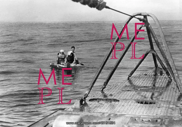 : Shipwrecked Allied in the Second World War : Shipwrecked Allied in the Second World War