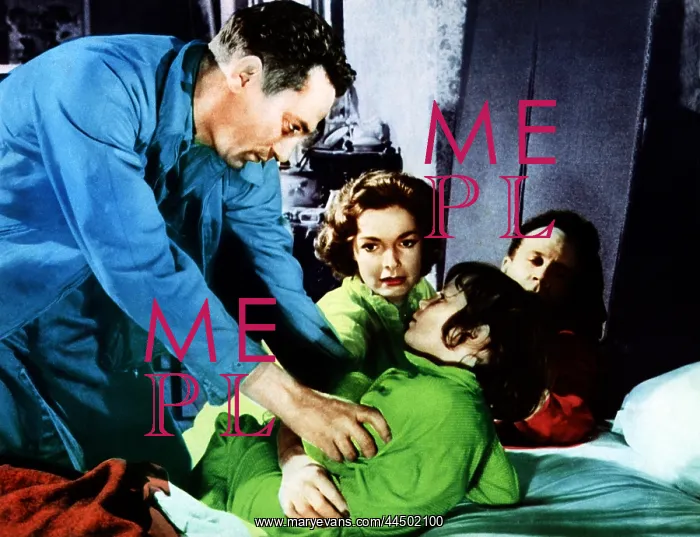 : The Shiralee (1957) : The Shiralee (1957)