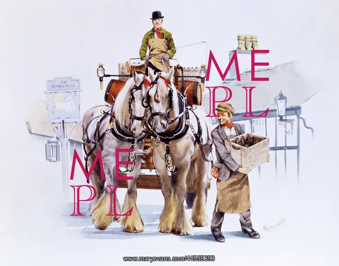 : Shire horse drawn dray : Shire horse drawn dray