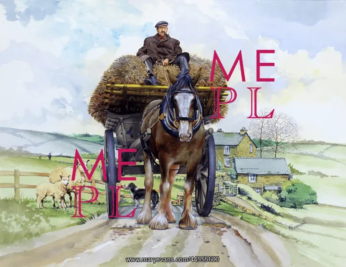 : Shire horse pulling a hay wagon : Shire horse pulling a hay wagon