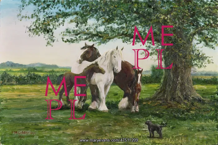  : Shire Horses under a tree