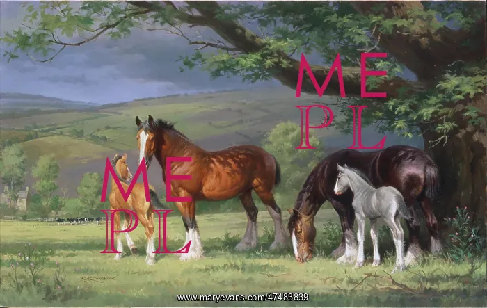 : Shire Mares and Foals in Landscape : Shire Mares and Foals in Landscape