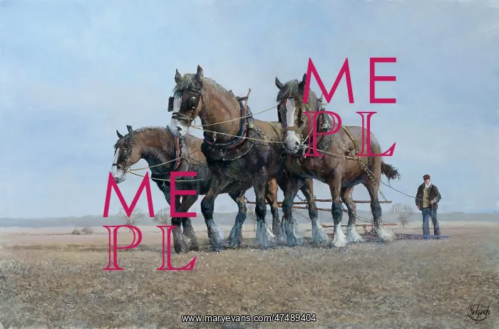  : Shires Harrowing