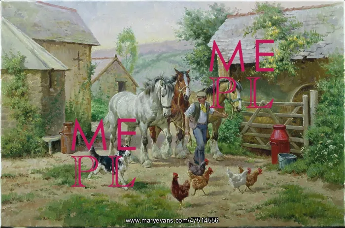 : Three Shires being led out of a farmyard : Three Shires being led out of a farmyard