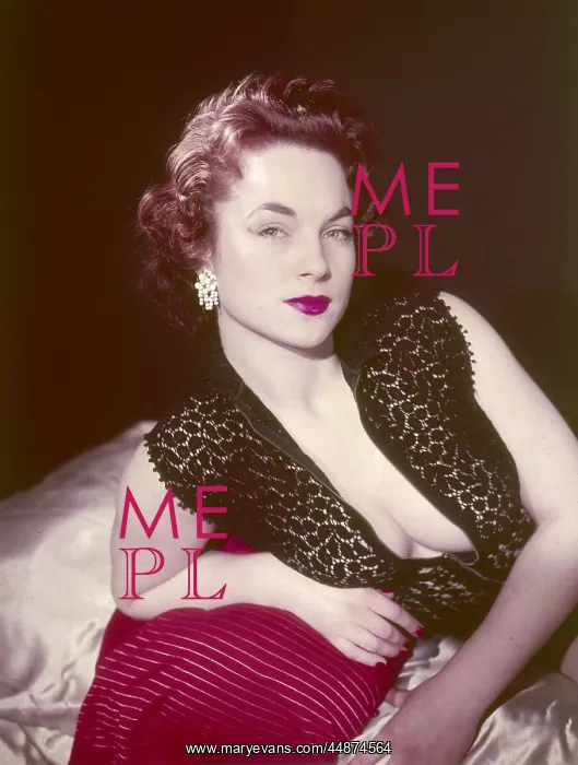 : SHIRLEY ANNE FIELD : SHIRLEY ANNE FIELD