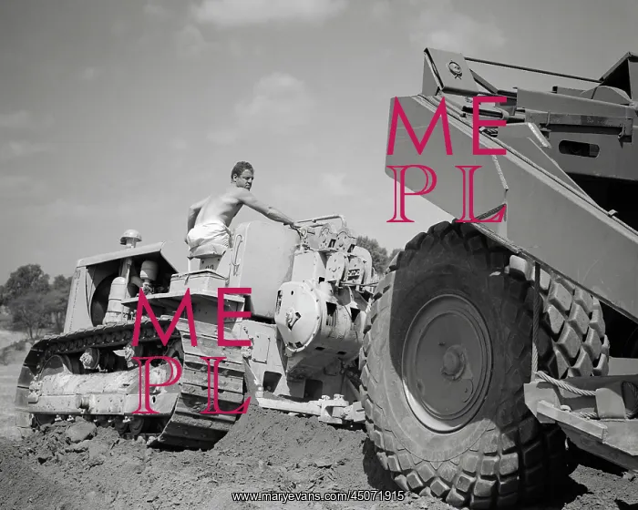 : Shirtless Man Worker Riding on Driving Bulldozer : Shirtless Man Worker Riding on Driving Bulldozer