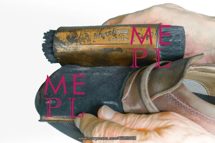  : Shoe Buffer and Brush