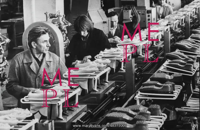 : Shoe factory : Shoe factory