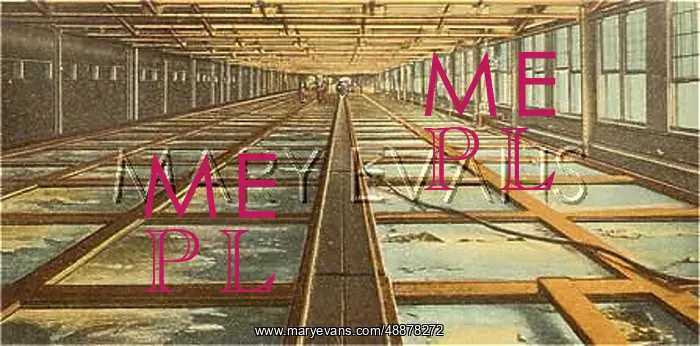 : SHOE FACTORY INTERIOR : SHOE FACTORY INTERIOR