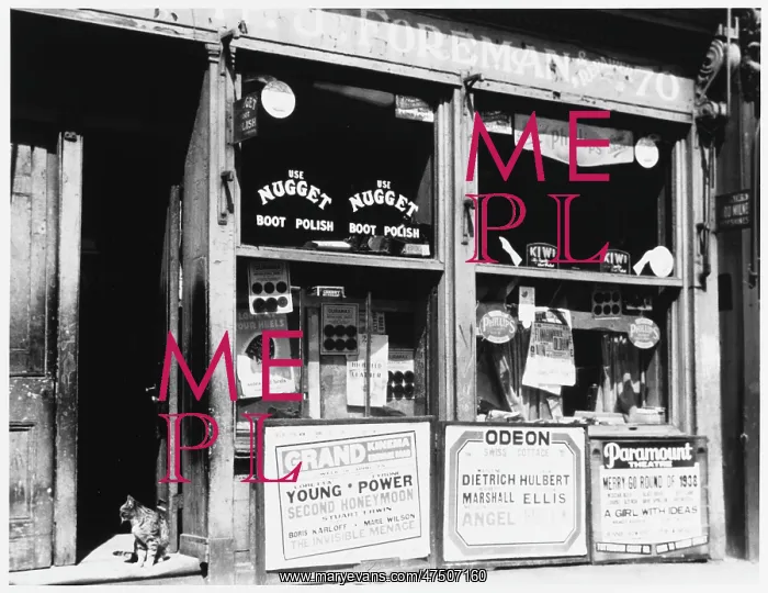 : SHOE MAKER & REPAIRER : SHOE MAKER & REPAIRER