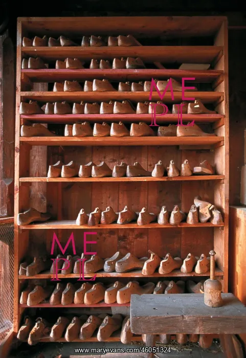 : Shoe tree of the monastery shoemaker : Shoe tree of the monastery shoemaker