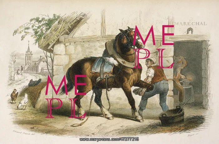  : SHOEING A HORSE