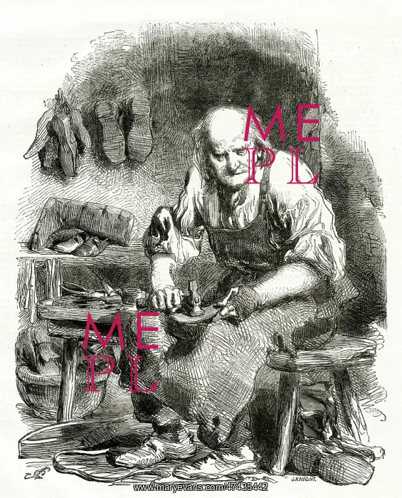 : Shoemaker 1855 : Shoemaker 1855