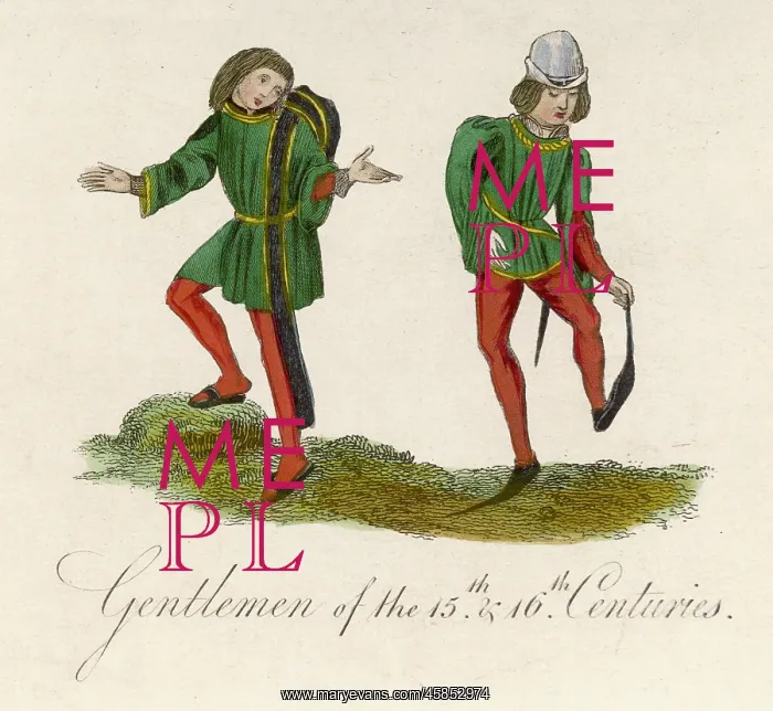 : Shoes of 15th century : Shoes of 15th century