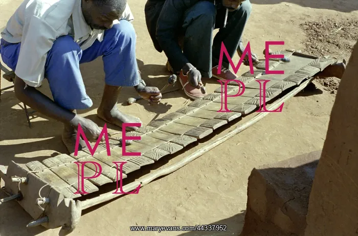 : Shonisani playing mbila mutando xylophone : Shonisani playing mbila mutando xylophone