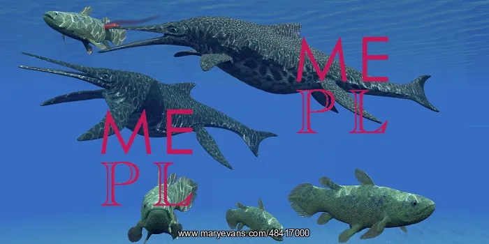 : A Shonisaurus Ichthyosaur stabs a Coelacanth fish in ? : A Shonisaurus Ichthyosaur stabs a Coelacanth fish in ?