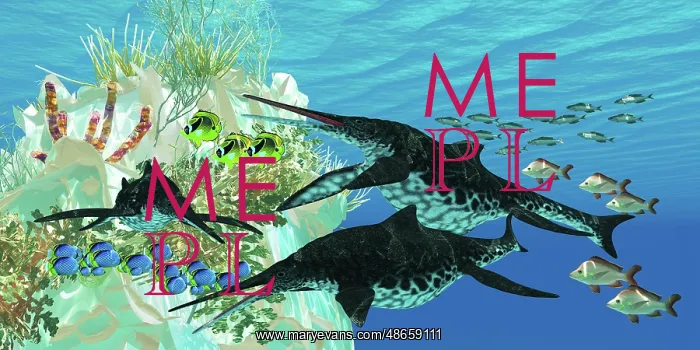 : Shonisaurus Ichthyosaurs swim amongst fish surrounding : Shonisaurus Ichthyosaurs swim amongst fish surrounding