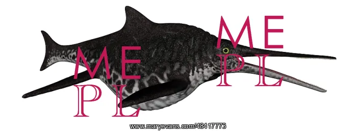 : Shonisaurus marine reptile fish isolated on white background : Shonisaurus marine reptile fish isolated on white background