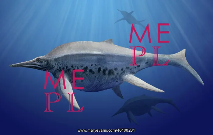 : Shonisaurus popularis swimming in prehistoric waters : Shonisaurus popularis swimming in prehistoric waters