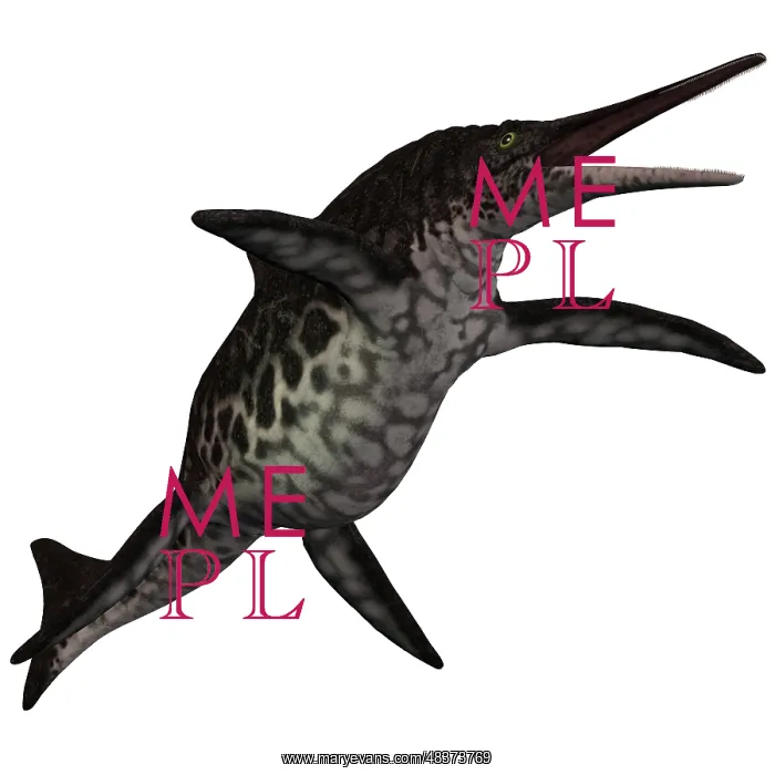 : Shonisaurus, a prehistoric ichthyosaur from the Triassic ? : Shonisaurus, a prehistoric ichthyosaur from the Triassic ?