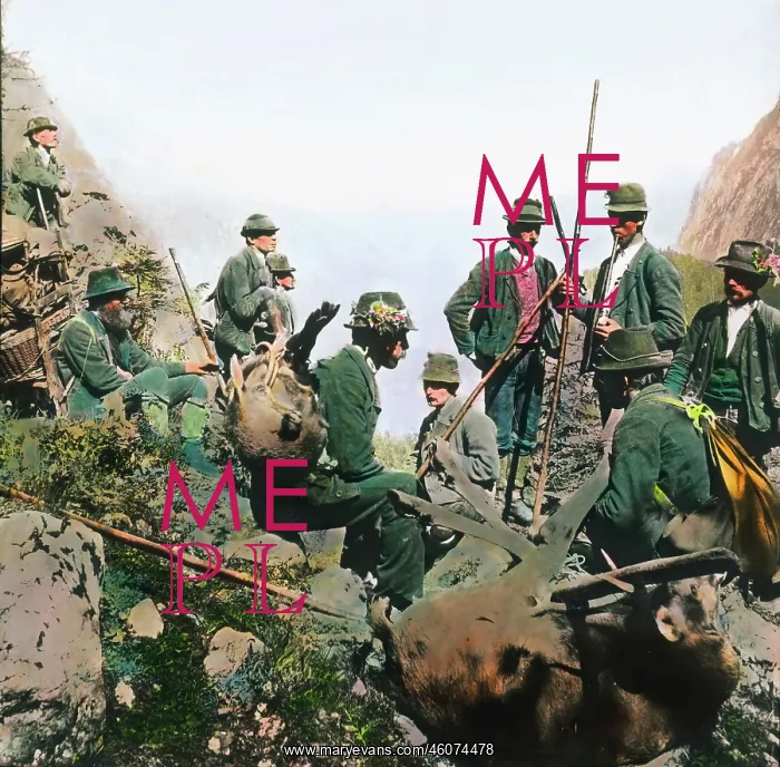 : A shoot after deer hunting : A shoot after deer hunting