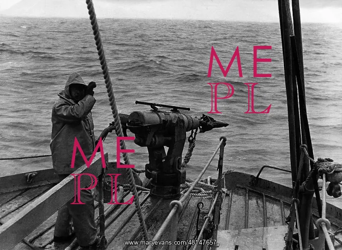  : Shooter with harpoon on a whaler