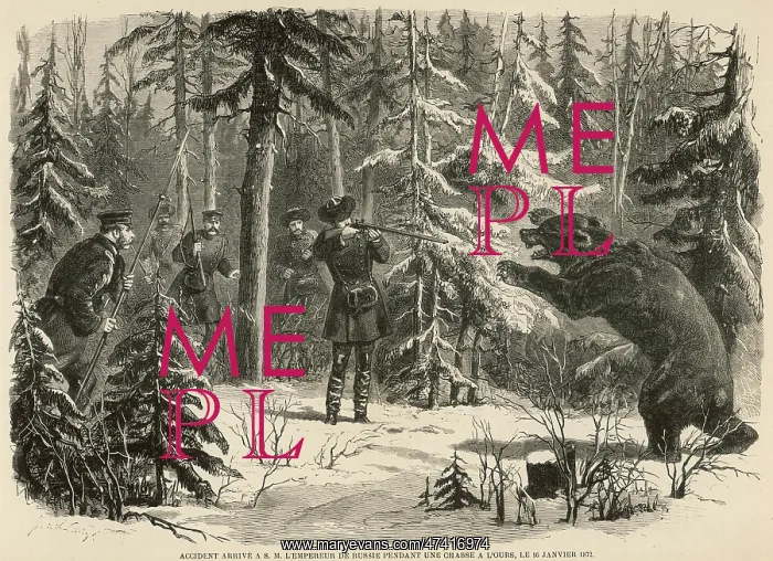 : Shooting a bear : Shooting a bear