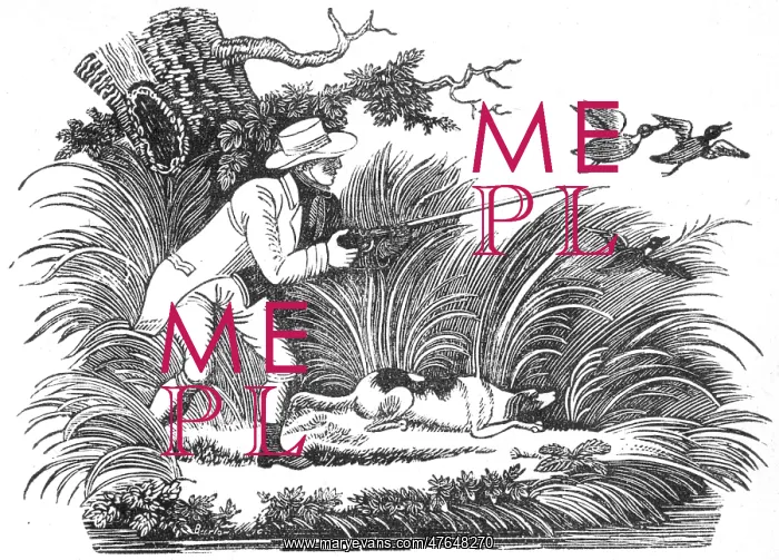 : Shooting ducks, c.1810 : Shooting ducks, c.1810